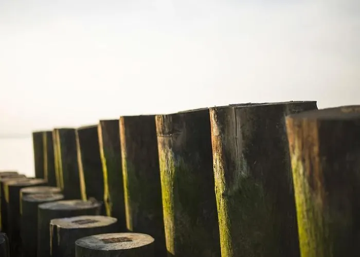 托里慕拉酒店 酒店 米兰马瑞提那