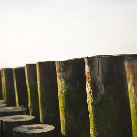 Torremaura Hotel Milano Marittima