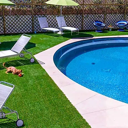 Torremaura Fronte Mare Con Club Hotel Milano Marittima